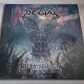 Degial - Tape / Vinyl / CD / Recording etc - Degial - Predator Reign 12" Vinyl