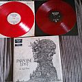 Paradise Lost - Tape / Vinyl / CD / Recording etc - Paradise Lost - The Plague Within - Limited Red vinyl edition