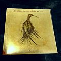 Subterranean Masquerade - Tape / Vinyl / CD / Recording etc - Subterranean Masquerade - Home 7" EP