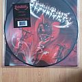 Sepultura - Tape / Vinyl / CD / Recording etc - Sepultura Morbid Visions  - Picture LP