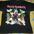 Iron Maiden - TShirt or Longsleeve - IRON MAIDEN