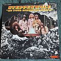 Steppenwolf - Tape / Vinyl / CD / Recording etc - Steppenwolf - At Your Birthday Party (Vinyl)