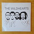 The Wildhearts - Tape / Vinyl / CD / Recording etc - The Wildhearts - The Wildhearts LP