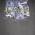 Cathedral - TShirt or Longsleeve - cathedral forest of equilibrium T-shirt earache original