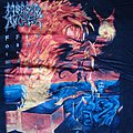 Morbid Angel - TShirt or Longsleeve - Morbid Angel - Formulas Fatal To The Flesh, original print, great condition TS...