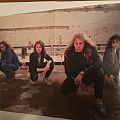 Metallica - Other Collectable - Young Metallica poster