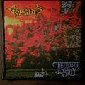 Gorguts - Patch - erosion of sanity