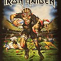 Iron Maiden - TShirt or Longsleeve - Iron Maiden - New Zealand 2016 event shirt