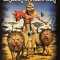 Iron Maiden - TShirt or Longsleeve - Iron Maiden - South Africa 2016 event shirt