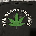 Black Crowes - TShirt or Longsleeve - Black crowes shirt.