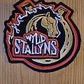 Heavy Metal - Patch - Wyld Stallyns  Logo Patch