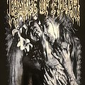 Cradle Of Filth - TShirt or Longsleeve - The Principle of Evil Made Flesh