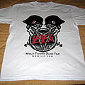 Slayer - TShirt or Longsleeve - Slayer - World Painted Blood Mexico/South America 2011 (bootleg, front)