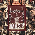 W.A.S.P. - Patch - W.A.S.P.-Winged Assassins Patch (Burgundy border)