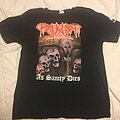 Paganizer - TShirt or Longsleeve - Paganizer - As Sanity Dies
