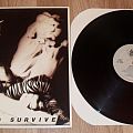 White Lion - Tape / Vinyl / CD / Recording etc - Fight To Survive