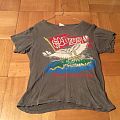 Saxon - TShirt or Longsleeve - Saxon the eagle has landed tour