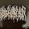 Blood Incantation - Patch - Official Blood Incantation Backpatch