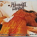 Holocausto Canibal - Tape / Vinyl / CD / Recording etc - Holocausto Canibal Sublime massacre corporeo