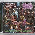 Purulent Spermcanal - Tape / Vinyl / CD / Recording etc - Purulent Spermcanal / Vaginal Herpes Split