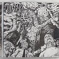 Noisear - Tape / Vinyl / CD / Recording etc - Noisear / Flagitious Idiosyncrasy In The Dilapidation Split