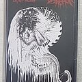 Gruesome Stuff Relish - Tape / Vinyl / CD / Recording etc - Gruesome Stuff Relish / Crash Syndrom Split