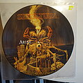 Sepultura - Tape / Vinyl / CD / Recording etc - Sepultura - Arise Picture Discl LP 1991 Roadracer Records