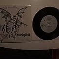 Riistetyt - Tape / Vinyl / CD / Recording etc - Riistetyt - Tuomiopäivä 7" EP REPRESS Havoc 2005