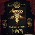 Venom - Battle Jacket - Gold