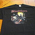 Bloodthorn - TShirt or Longsleeve - Bloodthorn Under the Reign
