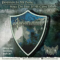 Insomnium - Patch - Insomnium - Since The Day It All Came Down