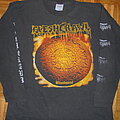 Fleshcrawl - TShirt or Longsleeve - Fleshcrawl - Bloodsoul LS 1996 Size L