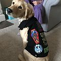 Iron Maiden - Battle Jacket - Iron Maiden Battle Dog