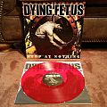Dying Fetus - Tape / Vinyl / CD / Recording etc - Dying Fetus - Stop At Nothing Red Vinyl