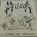 Melissa - Tape / Vinyl / CD / Recording etc - Melissa - A flight to insanity - Single