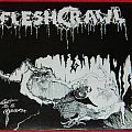 Fleshcrawl - Tape / Vinyl / CD / Recording etc - Fleshcrawl - Lost in a grave - Single