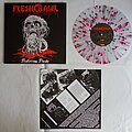 Fleshcrawl - Tape / Vinyl / CD / Recording etc - Fleshcrawl - Festering flesh - lim.edit.Vinyl