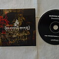 Burning Skies - Tape / Vinyl / CD / Recording etc - Burning Skies - Desolation - Promo CD