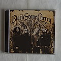 Black Stone Cherry - Tape / Vinyl / CD / Recording etc - Black Stone Cherry - Black Stone Cherry - CD