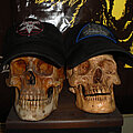 skull_twin1.JPG