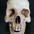 IMG_3325.JPG