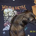 Megadeth - TShirt or Longsleeve - Megadeth Peace sells tour shirt
