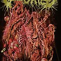 Aborted - TShirt or Longsleeve - Tour Shirt Europe 2019