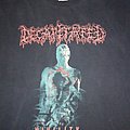 Decapitated - TShirt or Longsleeve - Nihility