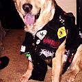 Slayer - Battle Jacket - Butters :)