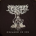 Frozen Soul - TShirt or Longsleeve - Frozen Soul - Encased In Ice
