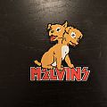 Melvins - Patch - Melvins - Houdini patch