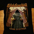 Blind Guardian - TShirt or Longsleeve - Blind Guardian Tour 2010