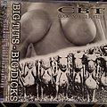 Cock And Ball Torture - Tape / Vinyl / CD / Recording etc - CBT / Last Days of Humanity split Big Tits Big Dicks