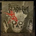 Pendulum - Tape / Vinyl / CD / Recording etc - Pendulum- Skullfuck 7"